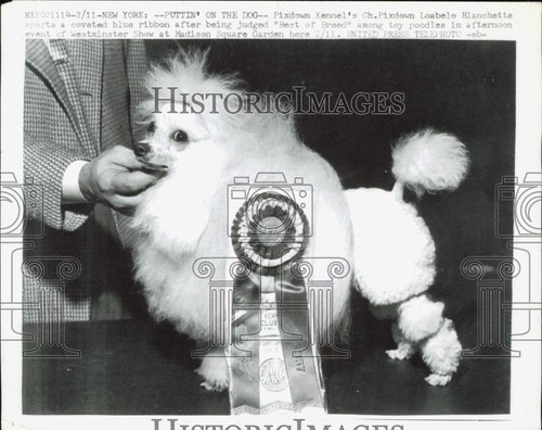 1957 press photo - 1957,