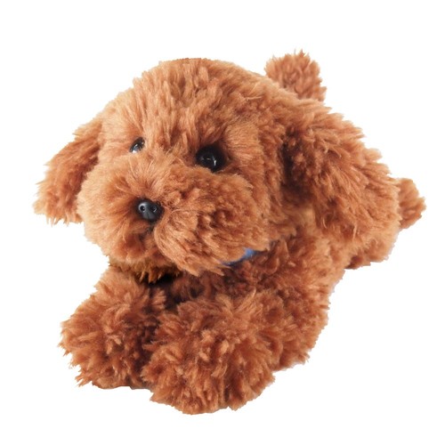 Knee sized toy poodle brown - knee-sized,