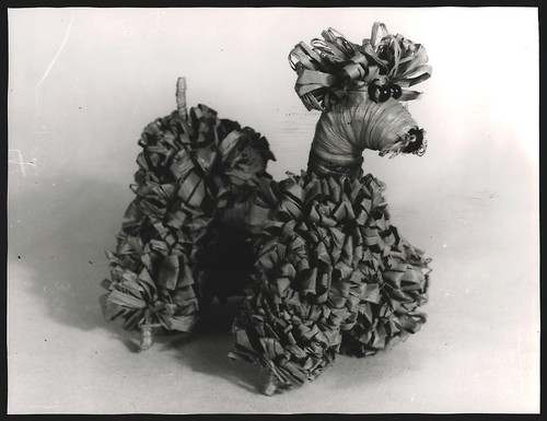 Photography poodle toys - photography,