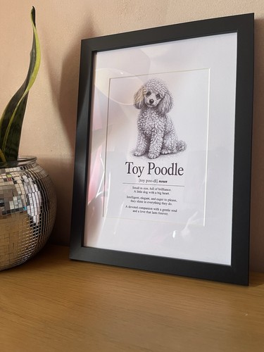Dog dictionary toy - 🐾,
