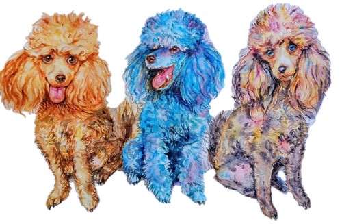Original three poodles dog - three, art