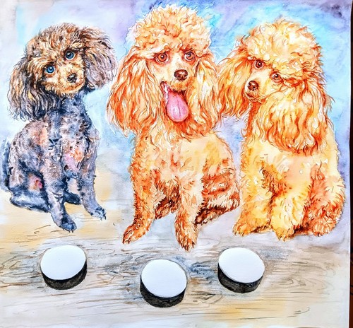 Original poodles dog - , art