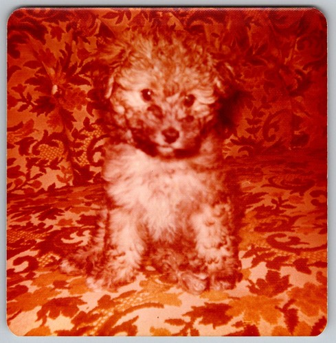 Vtg color snapshot - vtg,