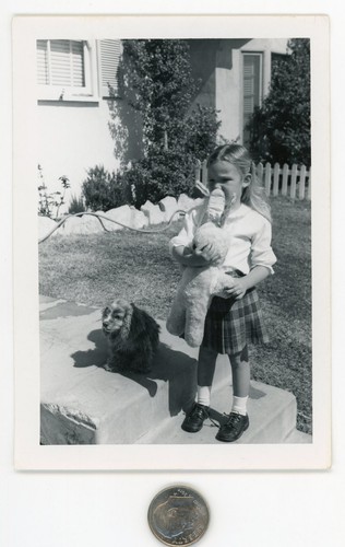 Vintage 1950 dog photo - dog,