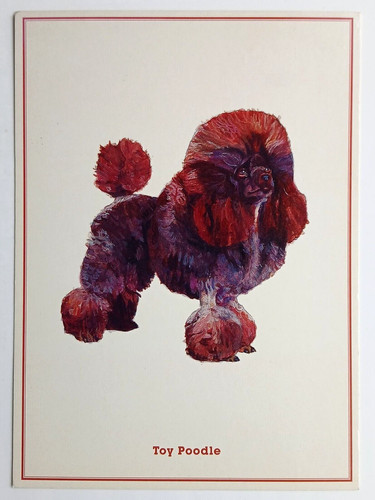 Polly horner toy - poodle, art