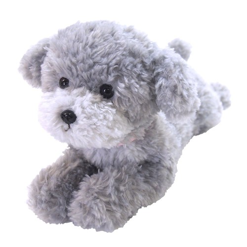 Knee sized toy poodle - knee-sized, (gray)