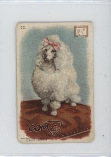 1910 dwight soda - soda, new