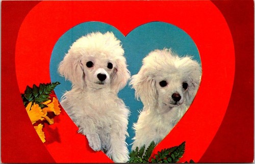 Postcard have heart two - postcard, a
