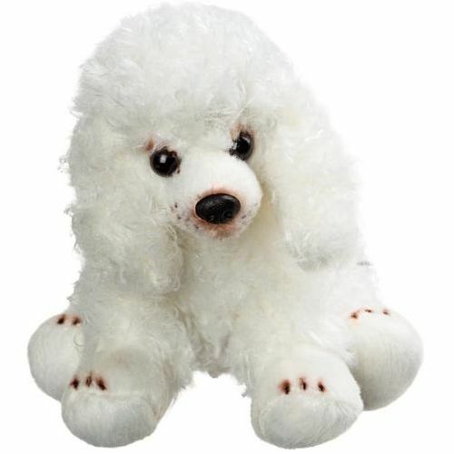 Sitting white poodle - -, brand