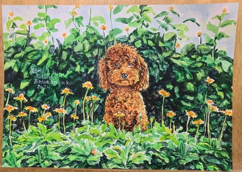 Toy poodle print from a - poodle,
