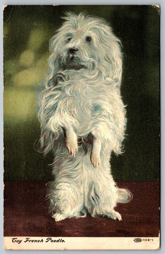 Postcard 1908 toy - postcard,