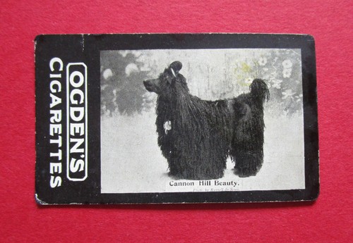 Ogdens tab 1902 antique - ,
